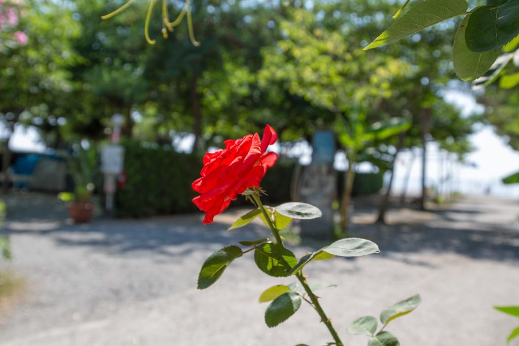 Camping La Focetta Sicula SantʼAlessio Siculo Exterior foto